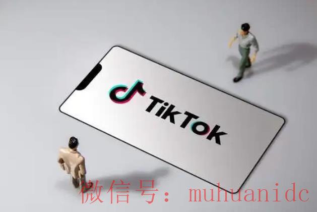 tiktok账号购买平台