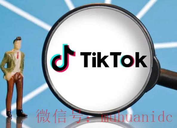 tiktok账号购买平台