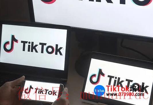 tiktok账号购买平台