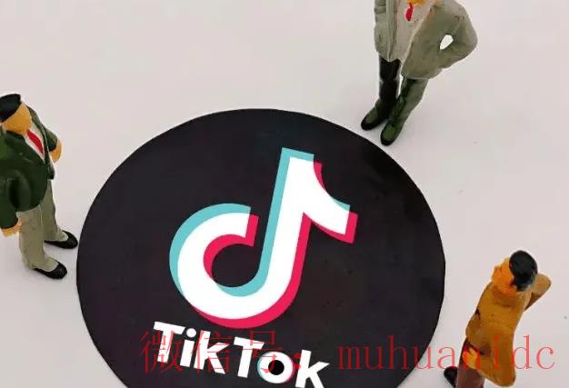 tiktok账号购买平台