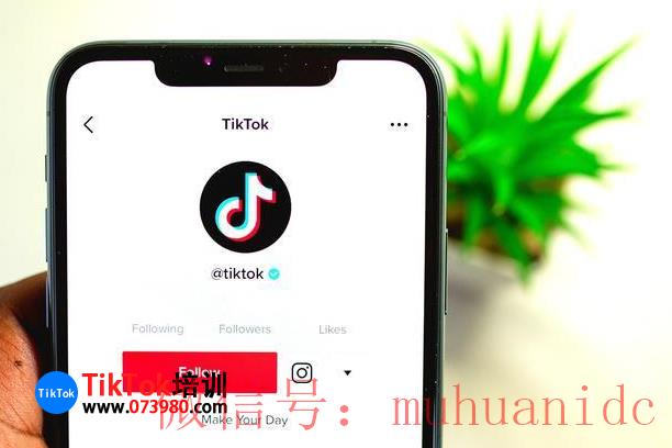 tiktok账号购买平台