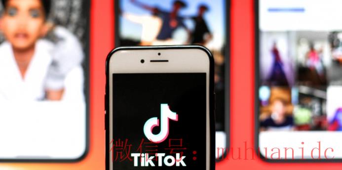 tiktok账号购买平台