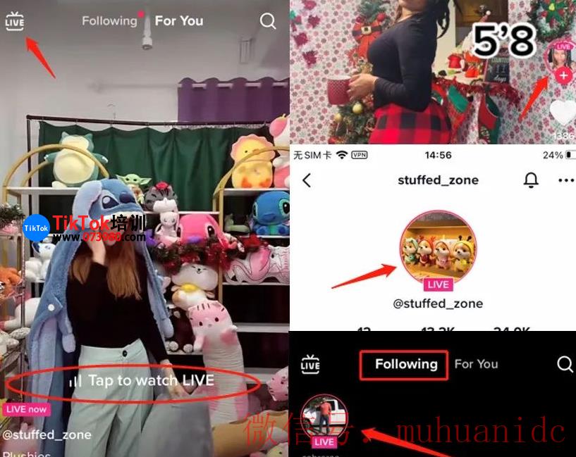 tiktok账号购买平台