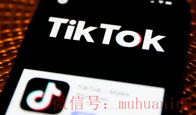 tiktok账号购买平台