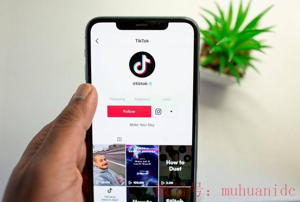 tiktok账号购买平台