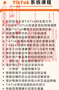 tiktok账号购买平台