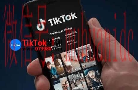 tiktok账号购买平台