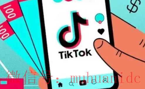 tiktok账号购买平台