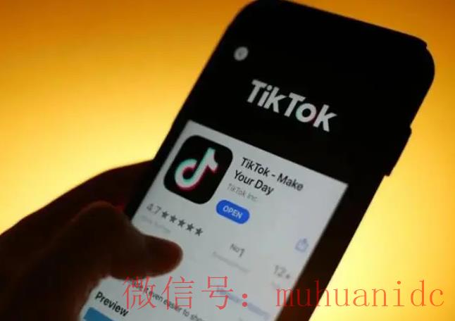 tiktok账号购买平台