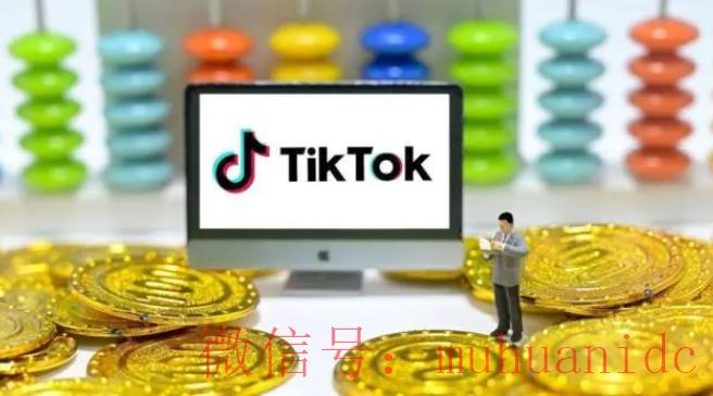 tiktok账号购买平台