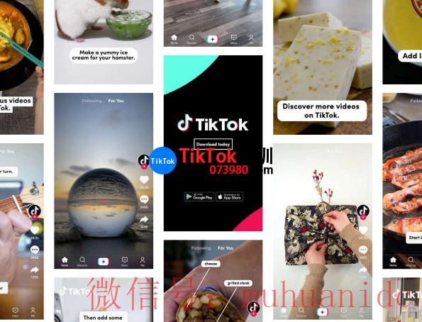 tiktok账号购买平台