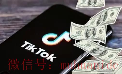 tiktok账号购买平台