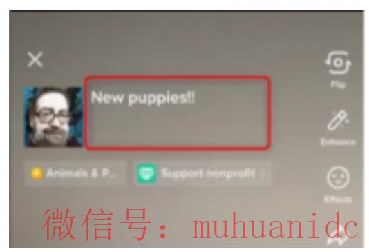 tiktok账号购买平台