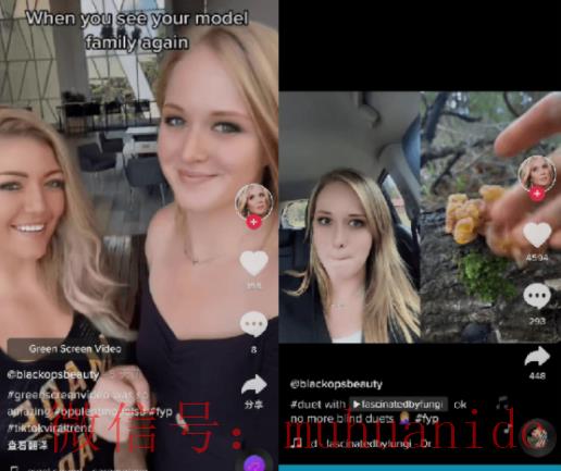 tiktok账号购买平台