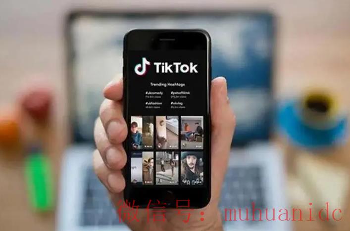 tiktok账号购买平台