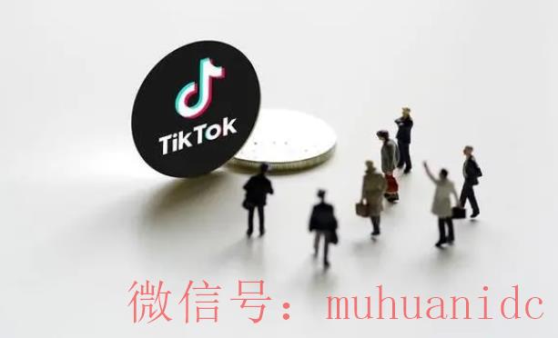 tiktok账号购买平台