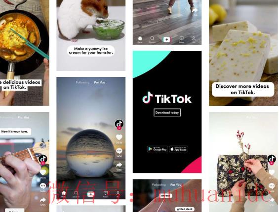 tiktok账号购买平台