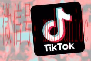 tiktok账号购买平台