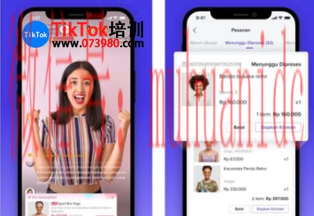 tiktok账号购买平台