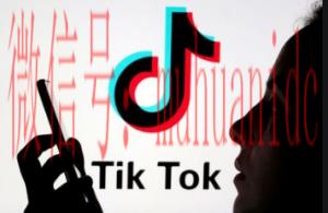 tiktok账号购买平台