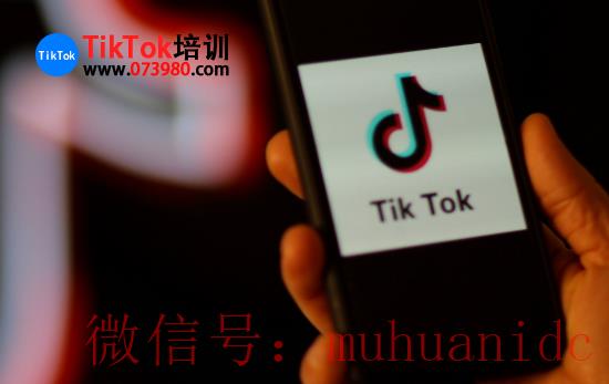 tiktok账号购买平台