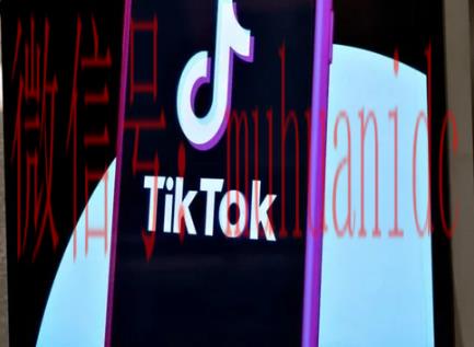 tiktok账号购买平台