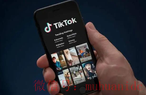 tiktok账号购买平台