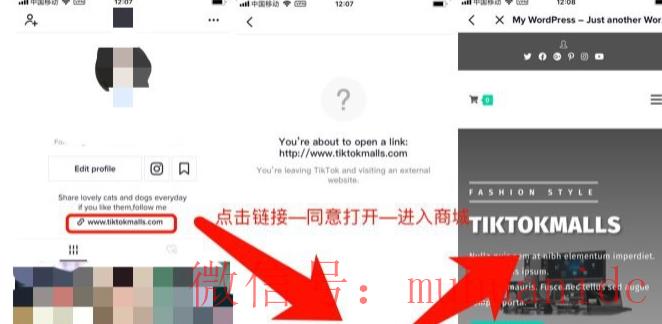 tiktok账号购买平台