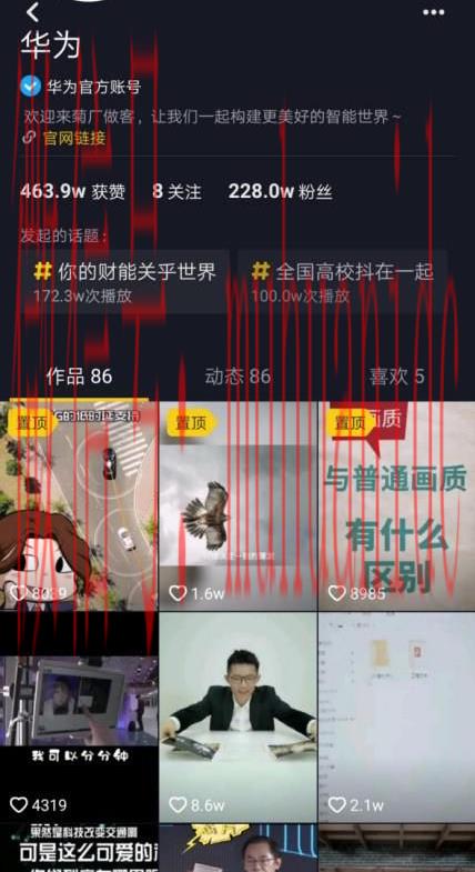 tiktok账号购买平台
