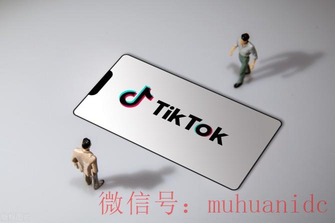 tiktok账号购买平台