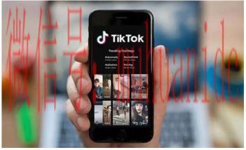 tiktok账号购买平台