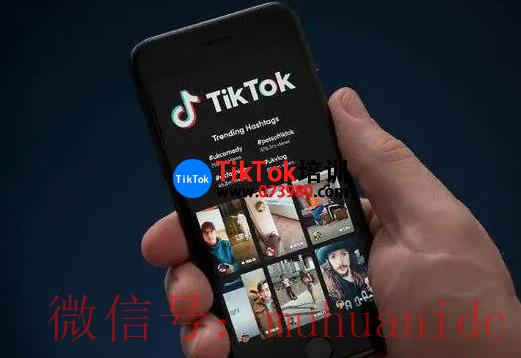 tiktok账号购买平台