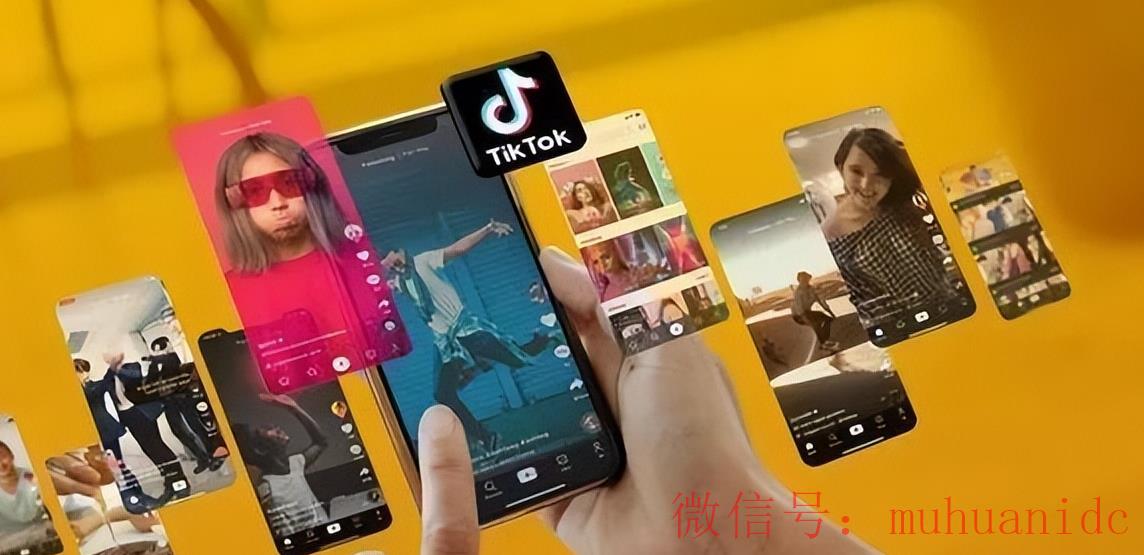 tiktok账号购买平台