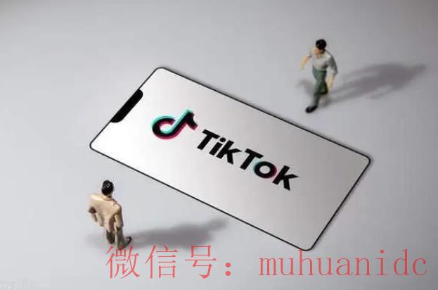 tiktok账号购买平台