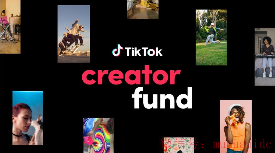 tiktok账号购买平台