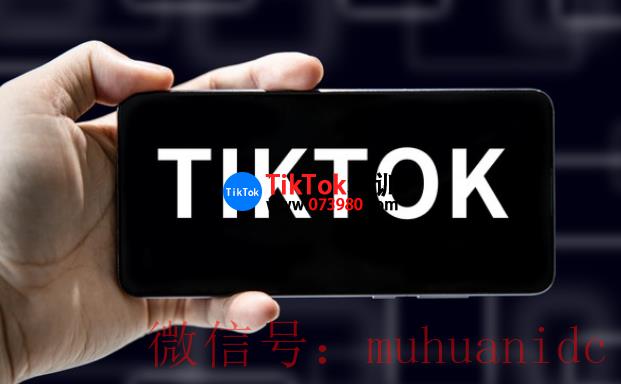 tiktok账号购买平台