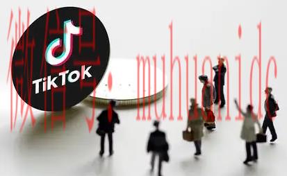 tiktok账号购买平台