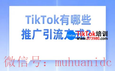 tiktok账号购买平台