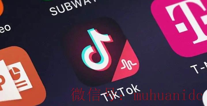 tiktok账号购买平台