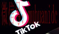 tiktok账号购买平台