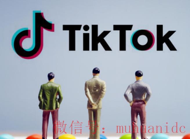 tiktok账号购买平台