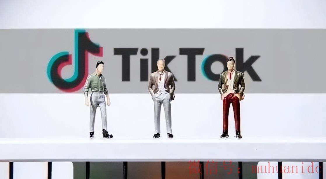 tiktok账号购买平台