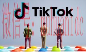 tiktok账号购买平台