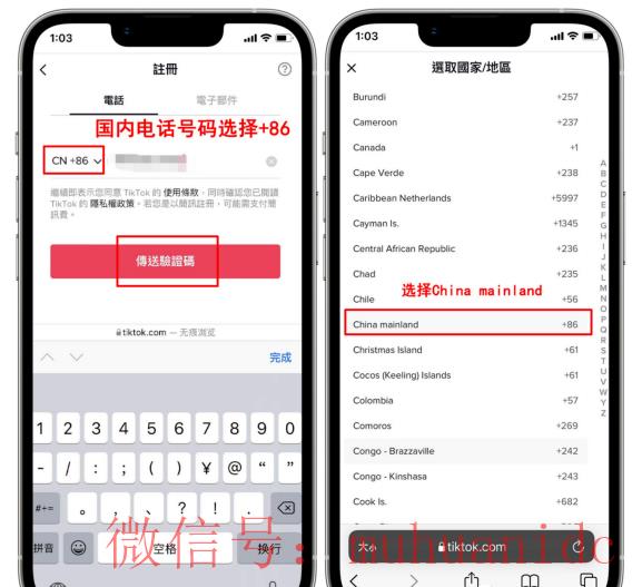 tiktok账号购买平台