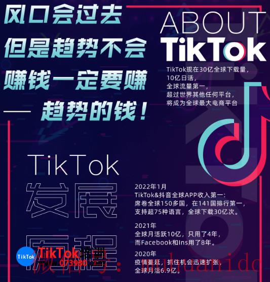 tiktok账号购买平台