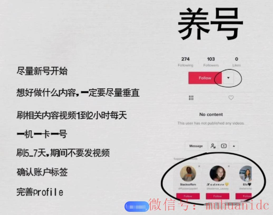 tiktok账号购买平台