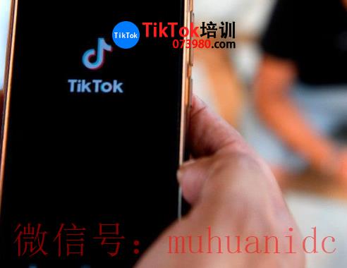 tiktok账号购买平台