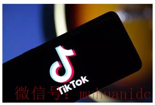 tiktok账号购买平台