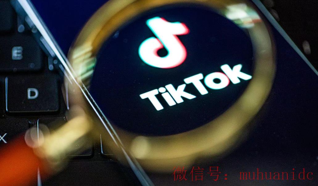 tiktok账号购买平台