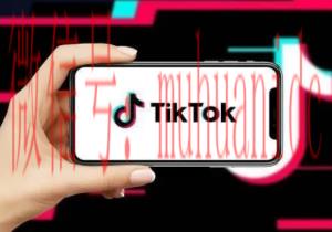 tiktok账号购买平台